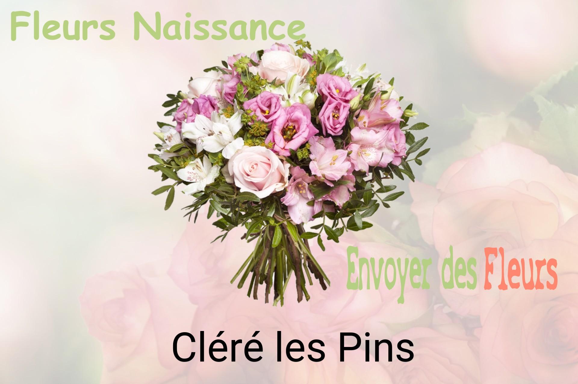 Bouquet de fleurs de naissance livré à Cléré-les-Pins
