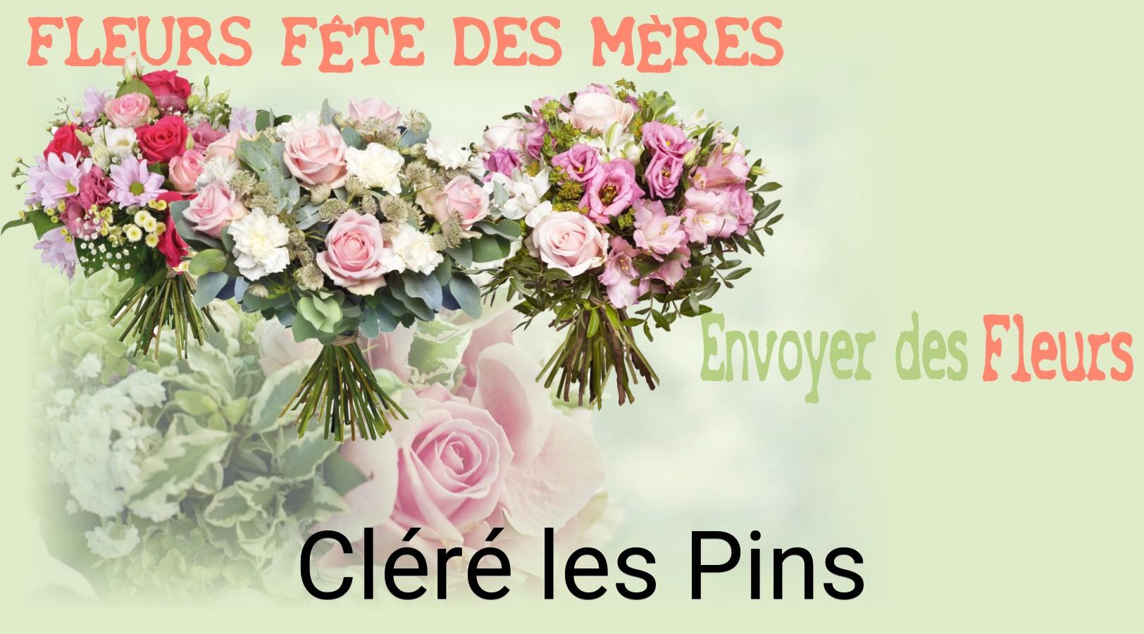 Bouquet de Fête des Mères livré à Cléré-les-Pins